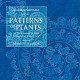 西山まりえ「藤枝守：ルネサンスの植物文様」