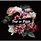 ＥＳ－ＴＲＵＳ「Ｔｒｕｅ　ｏｒ　Ｆａｌｓｅ」