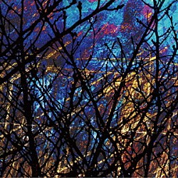 Ｍｅｒｚｂｏｗ「雀色１」