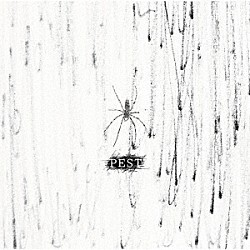 コドモドラゴン「ＰＥＳＴ」