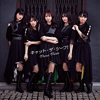 Ｐｒｉｍａ　Ｐｏｒｔａ「 キャット・ザ・シーフ！」