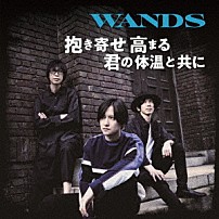 ＷＡＮＤＳ 「抱き寄せ　高まる　君の体温と共に」