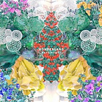Ｎｏｖｅｌｂｒｉｇｈｔ 「ＷＯＮＤＥＲＬＡＮＤ」