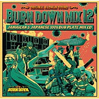 ＢＵＲＮ　ＤＯＷＮ「 ＢＵＲＮ　ＤＯＷＮ　ＭＩＸ　１２」