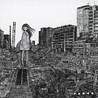 ＤＡＯＫＯ 「ａｎｉｍａ」