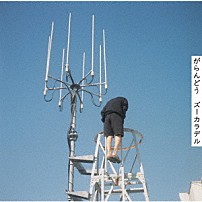 ズーカラデル 「がらんどう」