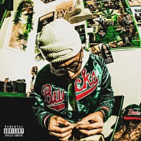 ￥ｅｌｌｏｗ　Ｂｕｃｋｓ 「Ｊｕｎｇｌｅ」