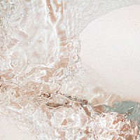 Ｖｅｇｐｈｅｒ「 Ｍｉｎｕｔｕｓ」