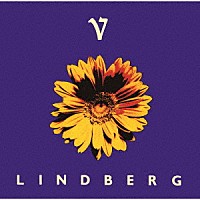 ＬＩＮＤＢＥＲＧ「 ＬＩＮＤＢＥＲＧ　Ⅴ」