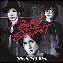ＷＡＮＤＳ 「ＢＵＲＮ　ＴＨＥ　ＳＥＣＲＥＴ」
