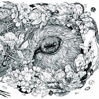 ｂｏｈｅｍｉａｎｖｏｏｄｏｏ ｂａｓｈｉｒｙ 木村イオリ Ｎａｓｓｙ 山本拓矢 「Ｂｏｕｑｕｅｔ」