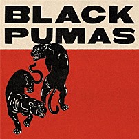 ＢＬＡＣＫ　ＰＵＭＡＳ 「ＢＬＡＣＫ　ＰＵＭＡＳ　（＋１１　ＤＥＬＵＸＥ　ＥＤＩＴＩＯＮ）」