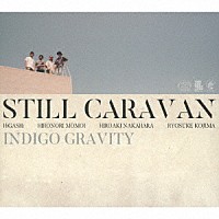 ＳＴＩＬＬ　ＣＡＲＡＶＡＮ「 ＩＮＤＩＧＯ　ＧＲＡＶＩＴＹ」