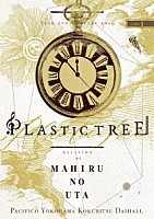 Ｐｌａｓｔｉｃ　Ｔｒｅｅ「 Ｐｌａｓｔｉｃ　Ｔｒｅｅ年末公演２０１９ゆくプラくるプラ　～海月リクエストまひるのうた編～」