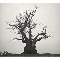 TTともページSEKAI NO OWARI 2010-2019 プレミアム TTともページSEKAI NO OWARI 2010-2019 プレミアム Amazon.co.jp