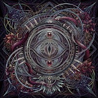 ＮＯＣＴＵＲＮＡＬ　ＢＬＯＯＤＬＵＳＴ 「Ｔｈｅ　Ｗａｓｔｅｌａｎｄ」