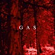 ＧＡＳ「魔の山」