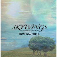 ＳＫＹＷＩＮＧＳ「 Ｈｏｗ　Ｂｅａｕｔｉｆｕｌ」