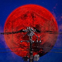 女王蜂 「夜天」