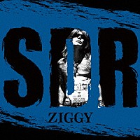 ＺＩＧＧＹ「 ＳＤＲ」