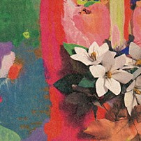 Ｃｏｃｃｏ 「クチナシ」