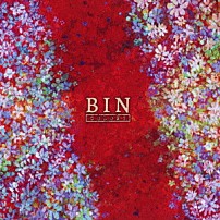 ＢＩＮ 「ＣＯＬＯＮＹ」