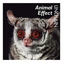 ＵＮＣＨＡＩＮ 「Ａｎｉｍａｌ　Ｅｆｆｅｃｔ」