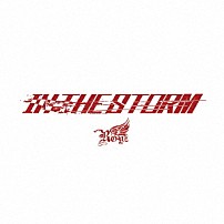 Ｒｏｙｚ 「ＩＮ　ＴＨＥ　ＳＴＯＲＭ」