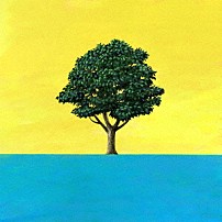 ＣＵＢＥＲＳ 「あたらしい生活」