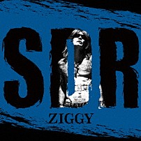 ＺＩＧＧＹ 「ＳＤＲ」