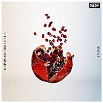 ＳＴＥＲＥＯ　ＤＩＶＥ　ＦＯＵＮＤＡＴＩＯＮ 「ＯＭＥＧＡ」