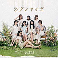 ＮＭＢ４８「 シダレヤナギ」