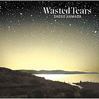 浜田省吾「 ＷＡＳＴＥＤ　ＴＥＡＲＳ」