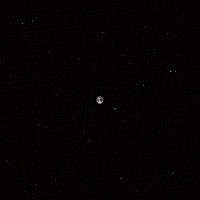 マーク・リーボウのセラミック・ドッグ「 ホープ」