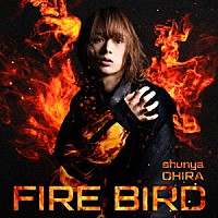 大平峻也「 ＦＩＲＥ　ＢＩＲＤ」