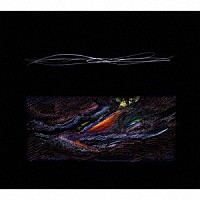 踊ってばかりの国「moana」 | FL-1006 | 4522197137926