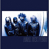 ＡＳＰ 「ＡＮＡＬ　ＳＥＸ　ＰＥＮｉＳ」