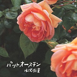 水沢有美「パットオースチン」