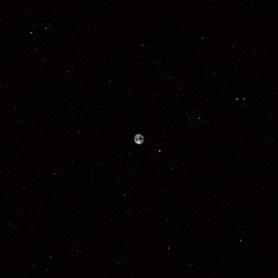 マーク・リーボウのセラミック・ドッグ Ｍａｒｃ　Ｒｉｂｏｔ Ｓｈａｈｚａｄ　Ｉｓｍａｉｌｙ Ｃｈｅｓ　Ｓｍｉｔｈ Ｄａｒｉｕｓ　Ｊｏｎｅｓ Ｒｕｂｉｎ　Ｋｈｏｄｅｌｉ Ｇｙｄａ　Ｖａｌｔｙｓｄｏｔｔｉｒ Ｓｙｄ　Ｓｔｒａｗ「ホープ」