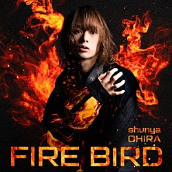 大平峻也「ＦＩＲＥ　ＢＩＲＤ」