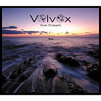 中鉢洋夫「 ボルボックス」