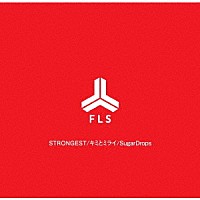 ＦＬＳ「 Ｔｈｅ　ｆｉｒｓｔ」