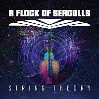 Ａ　ＦＬＯＣＫ　ＯＦ　ＳＥＡＧＵＬＬＳ「 ＳＴＲＩＮＧ　ＴＨＥＯＲＹ」