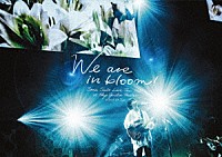 斉藤壮馬「 Ｌｉｖｅ　Ｔｏｕｒ　２０２１　“Ｗｅ　ａｒｅ　ｉｎ　ｂｌｏｏｍ！”　ａｔ　Ｔｏｋｙｏ　Ｇａｒｄｅｎ　Ｔｈｅａｔｅｒ」