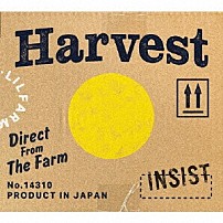 韻シスト 「ＨＡＲＶＥＳＴ」