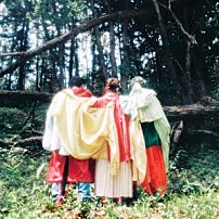 ＤＡＤＡＲＡＹ 「ガーラ」