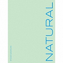 仲村宗悟 「ＮＡＴＵＲＡＬ」