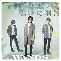 ＷＡＮＤＳ 「カナリア鳴いた頃に」