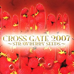 （オムニバス） －ＯＺ－ ＳＩＶＡ メロ Ｂｅｒｇｅｒａｃ ＬｕＬｕ ネガ「ＣＲＯＳＳ　ＧＡＴＥ　２００７　～ＳＴＲＡＷＢＥＲＲＹ　ＳＥＥＤＳ～」