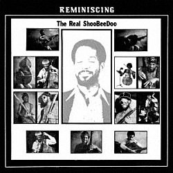 ザ・リアル・シュービードゥ ビル・マッコイ アレン・バーンズ ウェンデル・ハリスン パメラ・ワイズ タニ・タバル「レミニッシング」